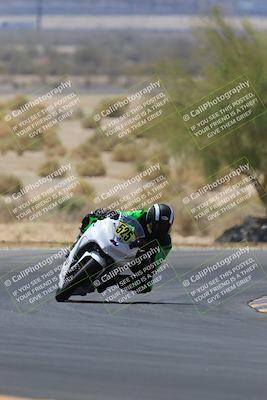 media/May-14-2023-SoCal Trackdays (Sun) [[024eb53b40]]/Turn 5 Tree of Life (1125am)/